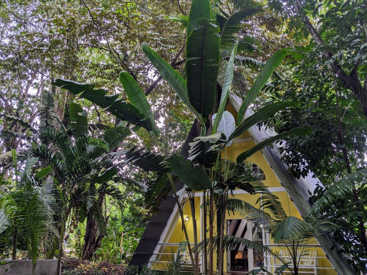 Caribbean Flow Puerto Viejo de Talamanca Exterior photo