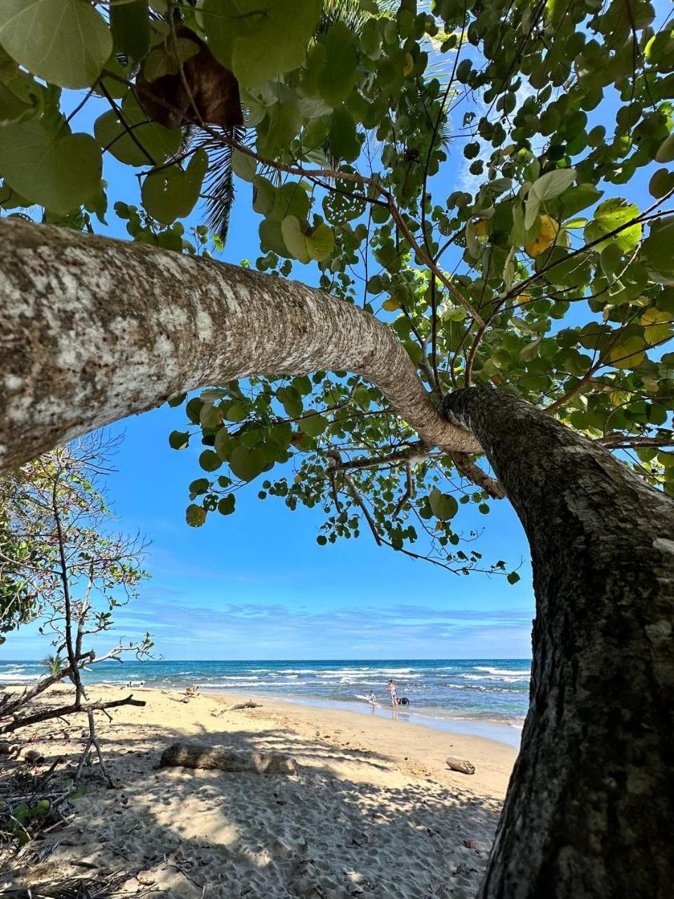 Caribbean Flow Puerto Viejo de Talamanca Exterior photo